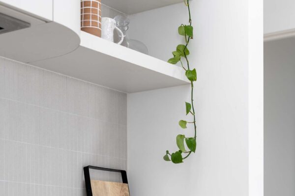 Open shelving highlights the back wall of the light and bright cooking space.