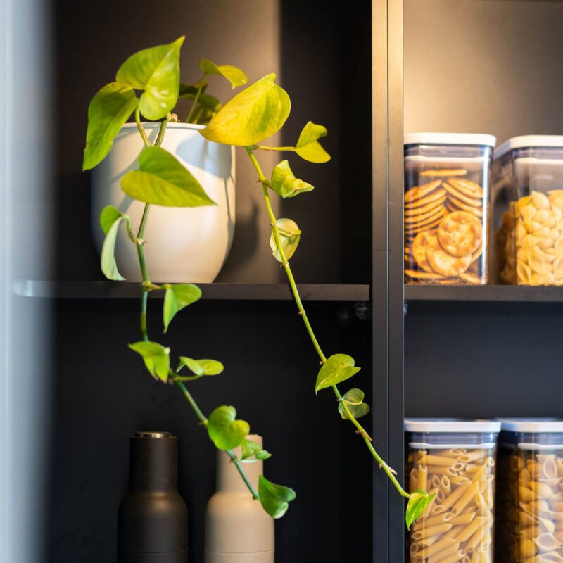 Touch Cabinetry. Black walk in pantry with white stone benchtop. Open shelving with containers, plants, salt and pepper and cook book.