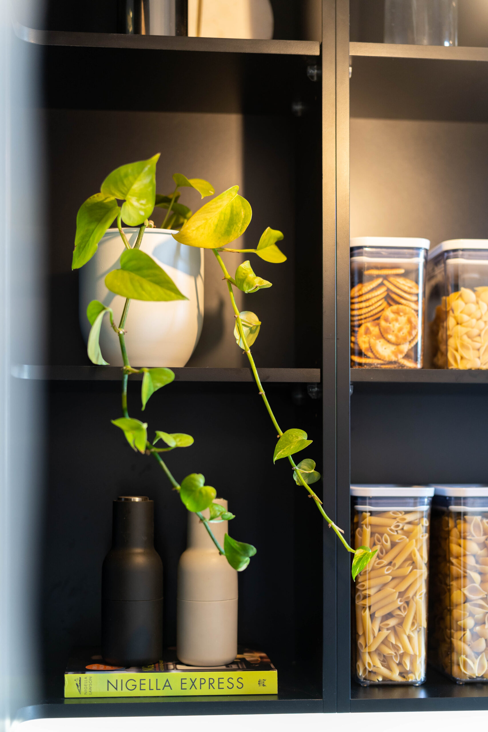 Touch Cabinetry. Black walk in pantry with white stone benchtop. Open shelving with containers, plants, salt and pepper and cook book.