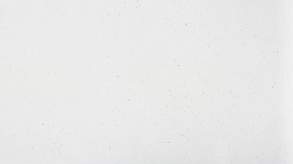 Zenith Blanco Bliss